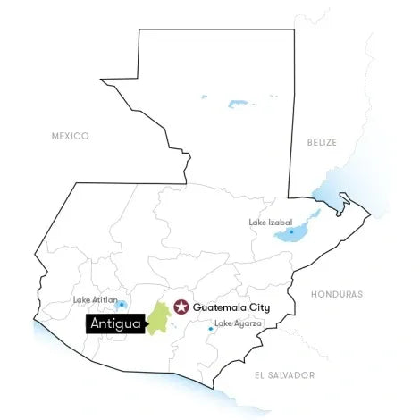 Guatemala Antigua Peaberry