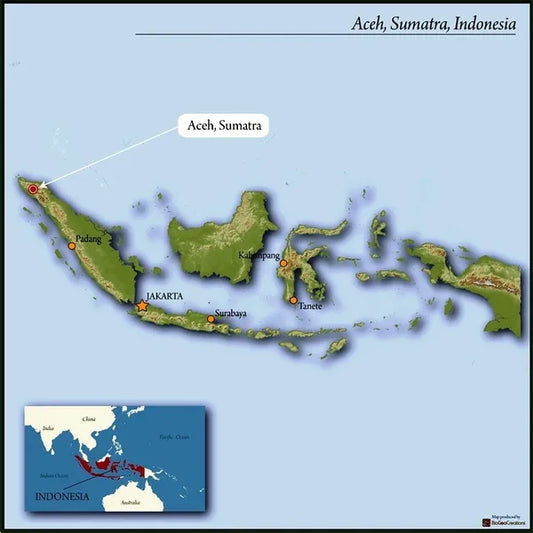 Sumatra Wet-Hulled