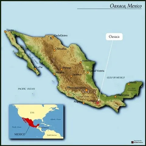 Mexico Altura Water Process Decaf